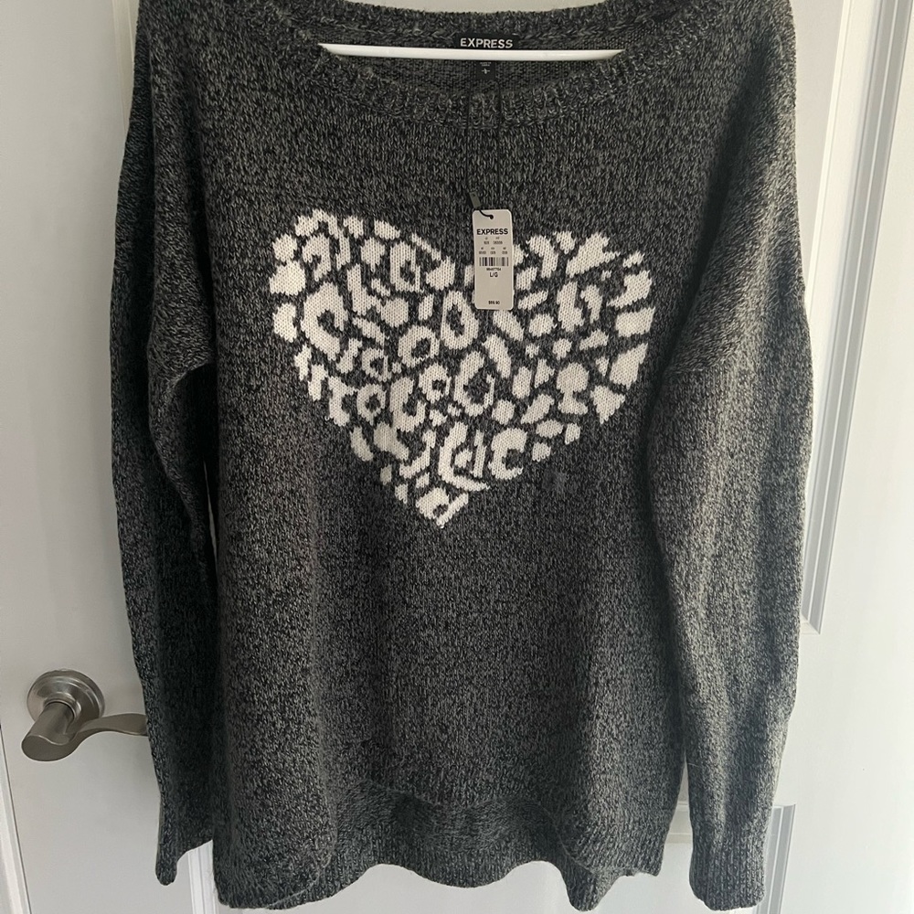 NWT Express lightweight sweater